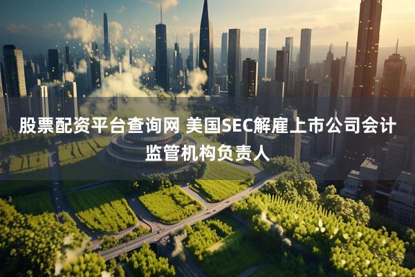 股票配资平台查询网 美国SEC解雇上市公司会计监管机构负责人